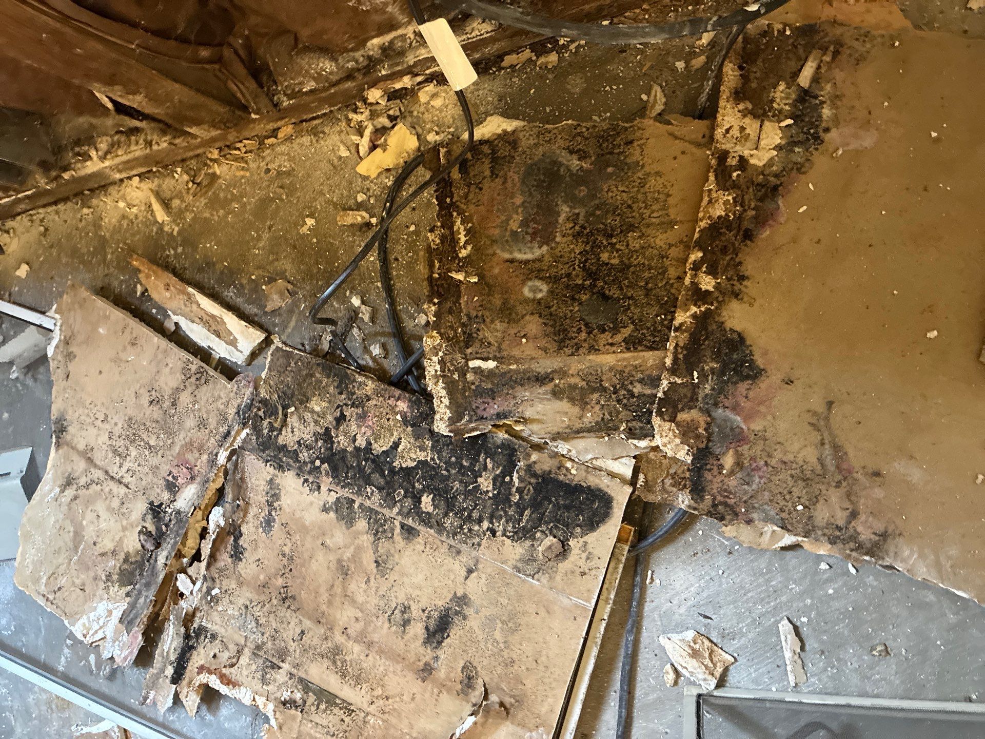 Decayed framing and rot in the Unit 104 wall cavity