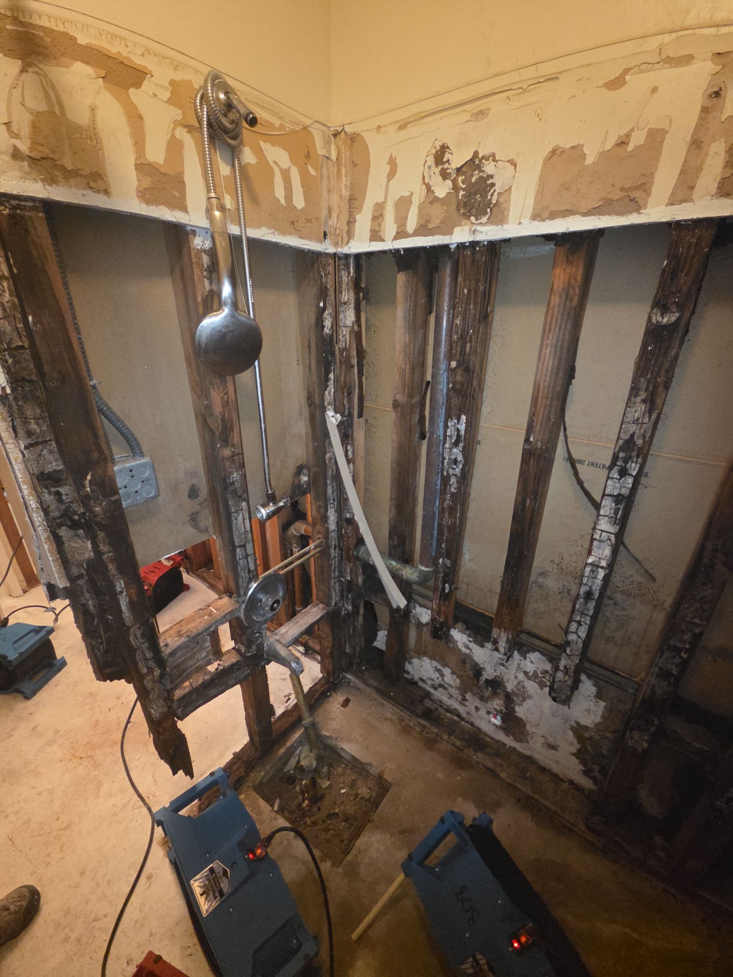 Concealed water and rot damage in Unit 104