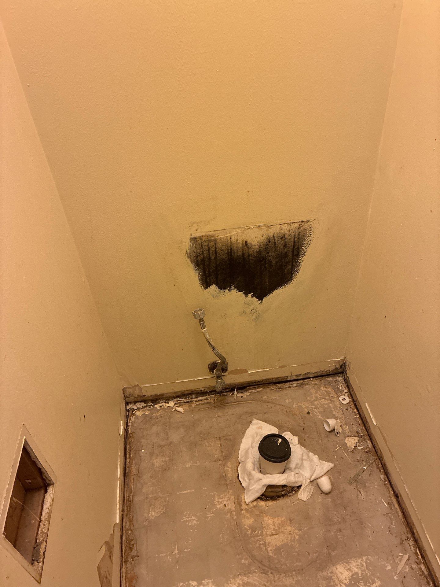 Microbial growth on the wall behind the Unit 104 tub
