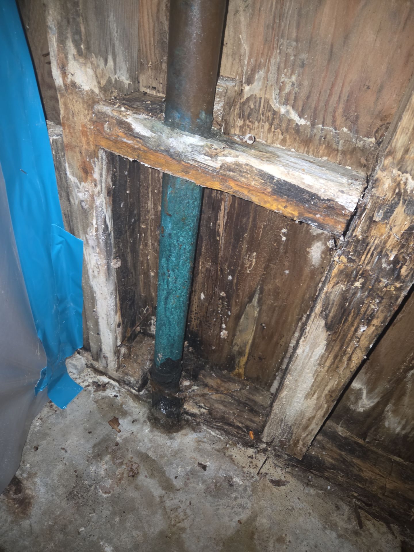 Exposed Unit 104 wall cavity during mitigation